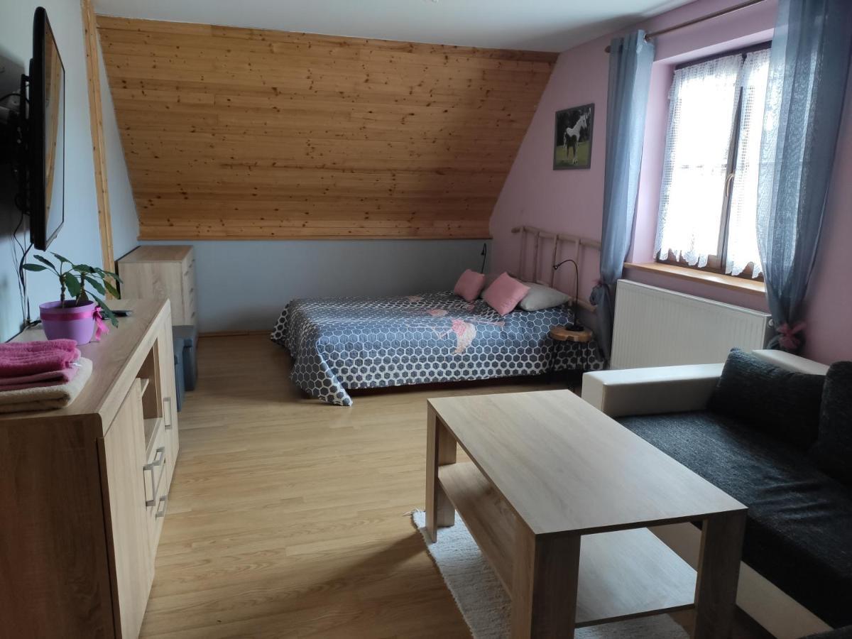 Ubytovani Pod Haniperkem Hotel Vodnany Ngoại thất bức ảnh