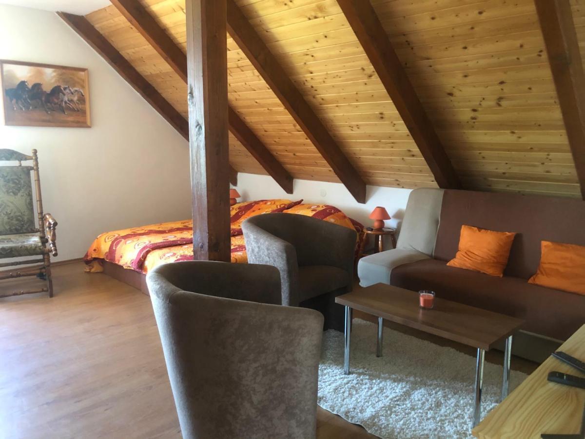 Ubytovani Pod Haniperkem Hotel Vodnany Ngoại thất bức ảnh
