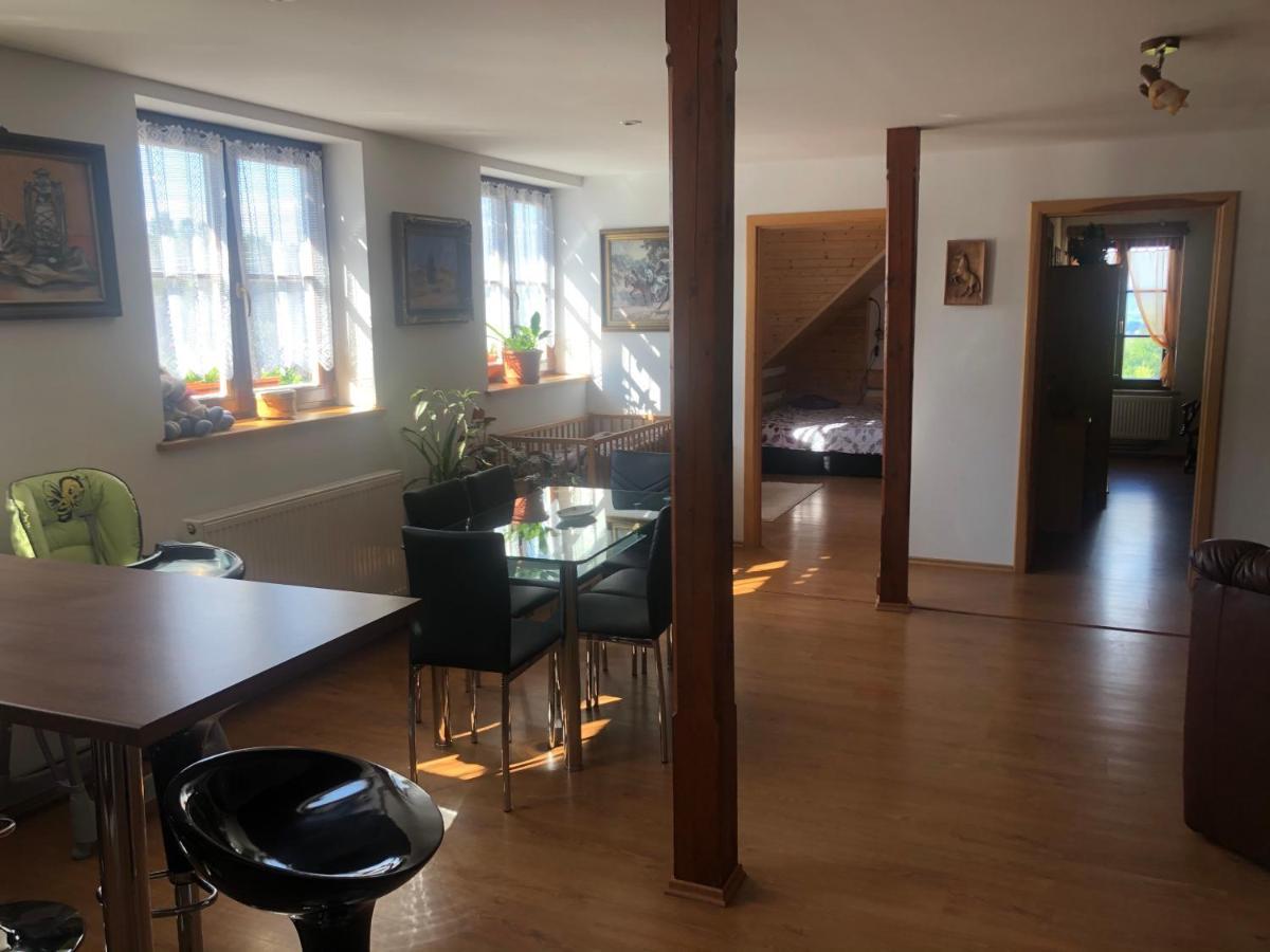 Ubytovani Pod Haniperkem Hotel Vodnany Ngoại thất bức ảnh