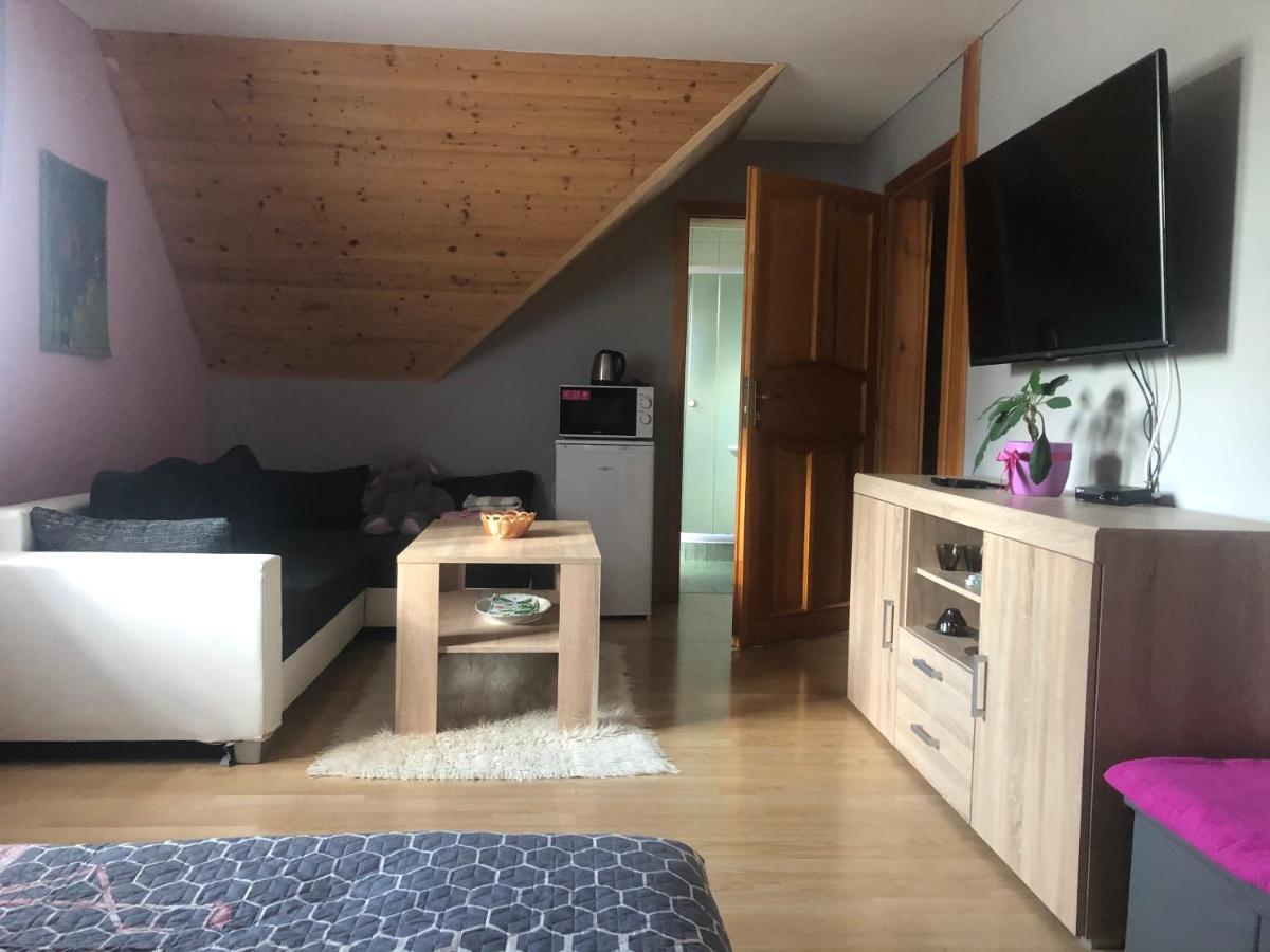 Ubytovani Pod Haniperkem Hotel Vodnany Ngoại thất bức ảnh